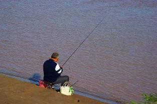 娱乐吃瓜钓鱼视频